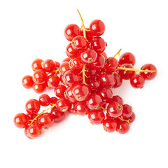 Red Currant isolated over white background