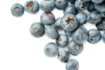 Bilberry or blueberry over isolated white background
