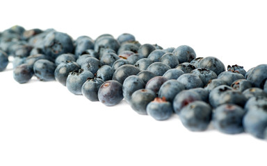 Line made of Bilberry or blueberry over isolated white background