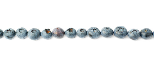 Line made of Bilberry or blueberry over isolated white background