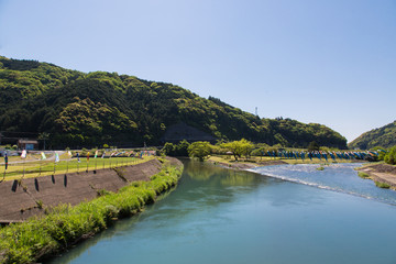 Fototapeta premium 高知県黒潮町 伊与木川の鰹のぼり