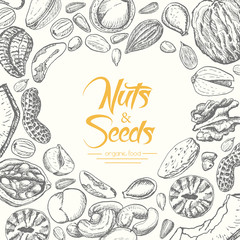 Vector background with nuts and seeds