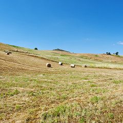 Hay Bales