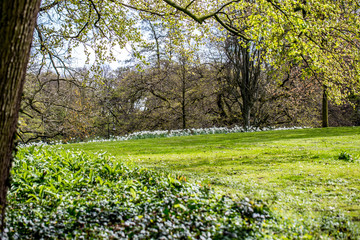 Frühling in einem Bremer Park (Wallanlagen)