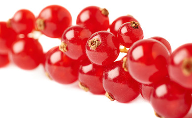 Red Currant isolated over white background