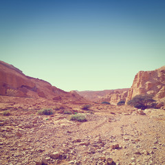 Desert in Israel