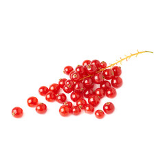 Red Currant isolated over white background