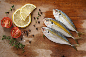 yellowstripe scad fish
