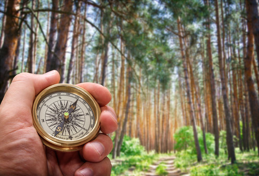 Compass in the hand against forest road
