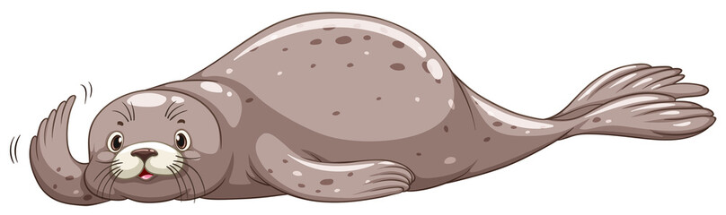 Seal with gray skin waving
