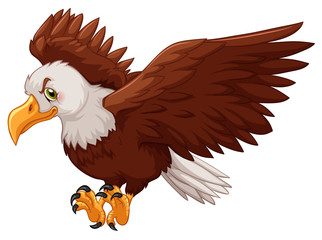 Eagle spreading its wings