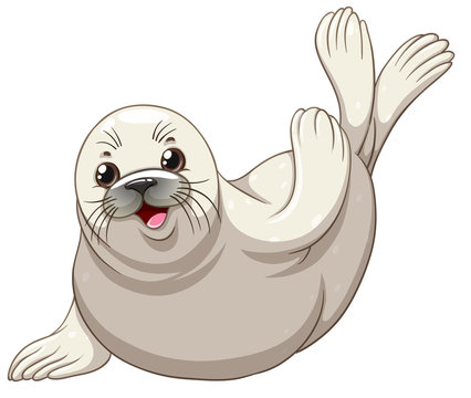Seal with white skin greeting