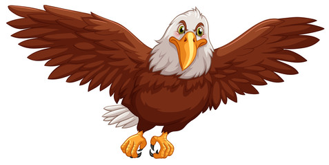 Eagle flying on white background