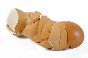 eggshell