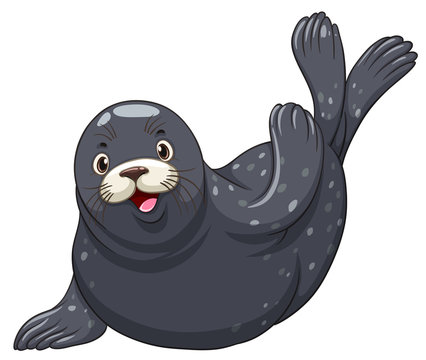 Black seal with happy face