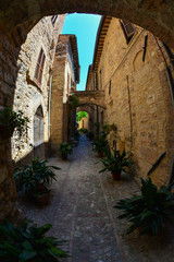 Fototapeta na wymiar Spello (Umbria, Italy) - A awesome medieval little town in Umbria