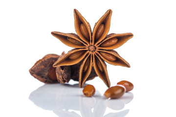 Star anise on white background