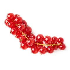 Red Currant isolated over white background