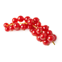 Red Currant isolated over white background