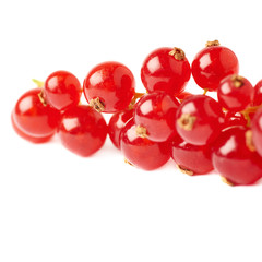 Red Currant isolated over white background