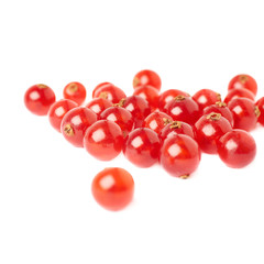 Red Currant isolated over white background