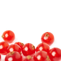 Red Currant isolated over white background