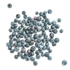Bilberry or blueberry over isolated white background
