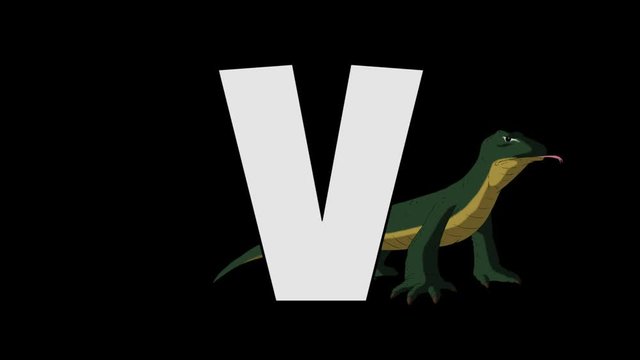 Letter V and  Varanus  (background)
Animated animal alphabet. HD footage with alpha channel. Animal in a background of letter.