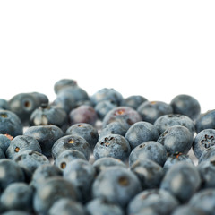 Bilberry or blueberry over isolated white background