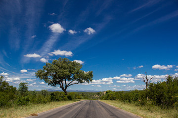 Route vers nul part
