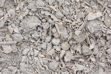 dry soil and leaf