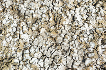 Background image of dried salty land