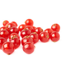 Red Currant isolated over white background