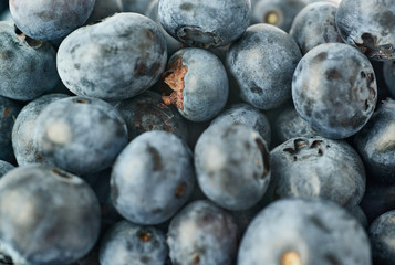 Bilberry or blueberry as texture background