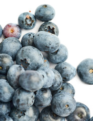 Bilberry or blueberry over isolated white background