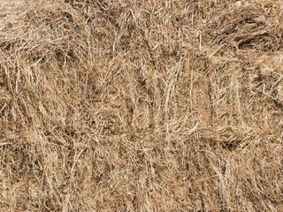 fragrant yellow hay