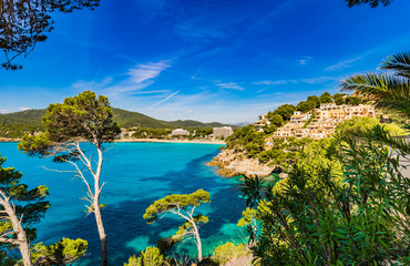 Obrazy na Plexi  Idylliczny widok na zatokę w Canyamel Majorka Hiszpania Wyspa