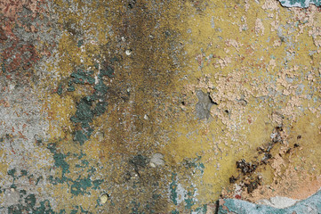 texture of the old painted wall
