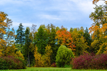 Naklejka premium Meadow and autumn forest, painted in beautiful colors against the blue sky and clouds
