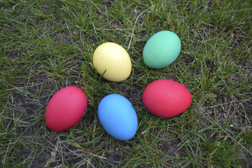 Fototapeta na wymiar Easter colored boiled eggs