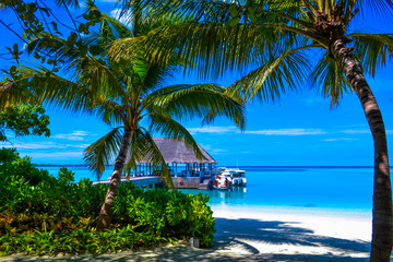 Tropical island in maldives