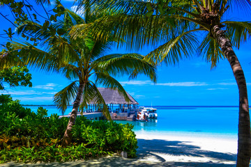 Naklejka premium Tropical island in maldives