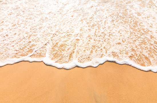 tropical beach