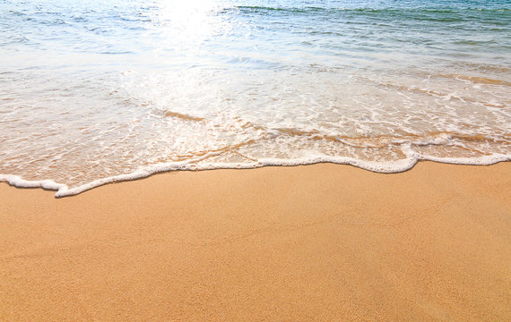 tropical beach
