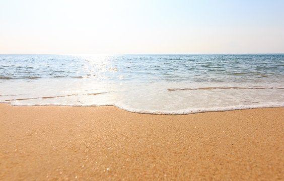 tropical beach