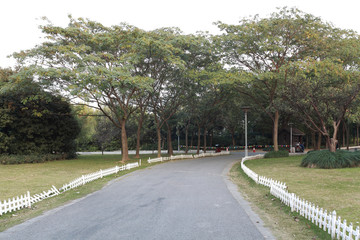 Park woods curve road