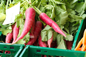 Rotrübe Gemüse