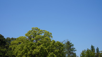 Obraz premium 空と自然