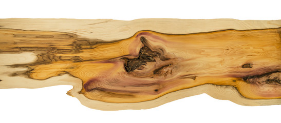 legno naturale di tasso © luigi giordano