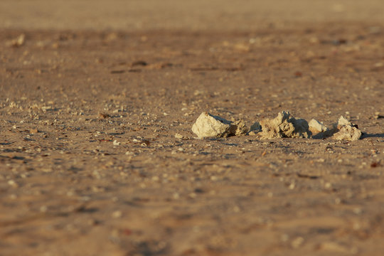 Stones on Mars